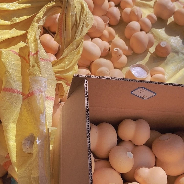 FL高升葫芦恭喜发财