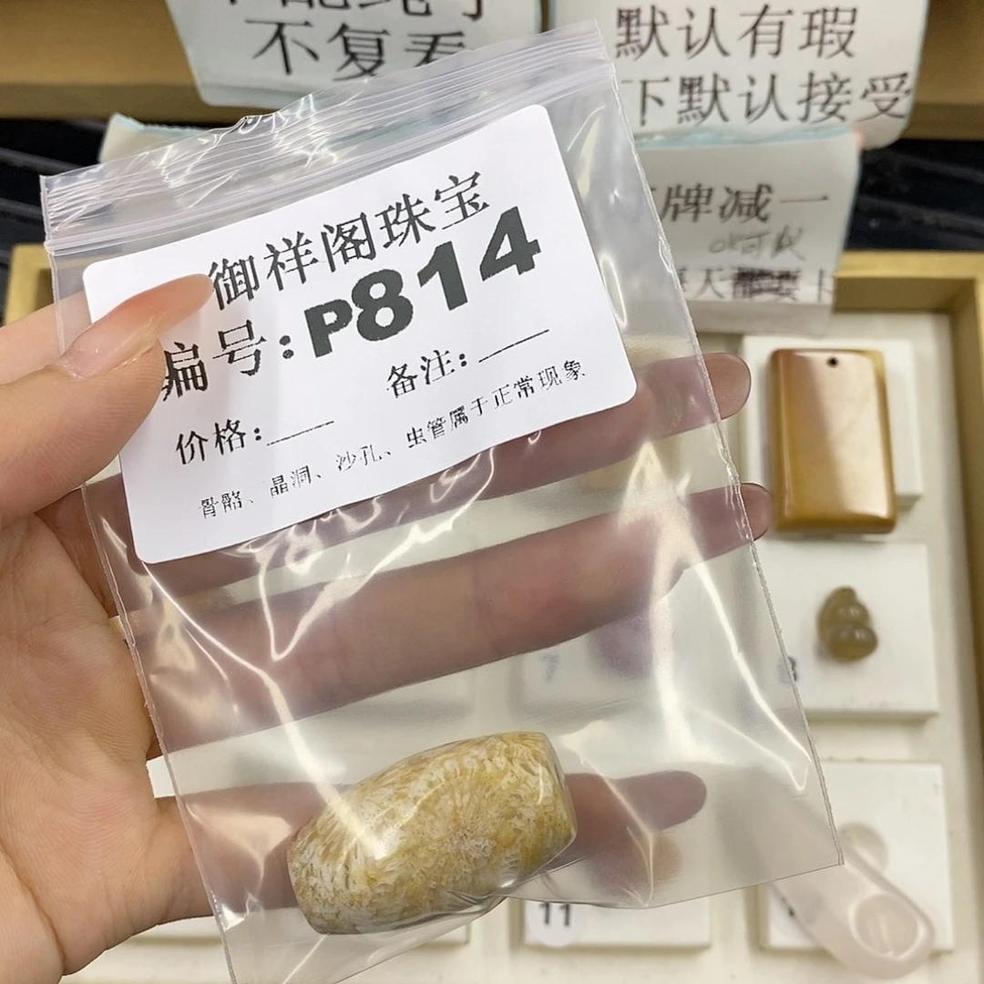 硅化珊瑚（珊瑚玉）未镶嵌颈饰若**e