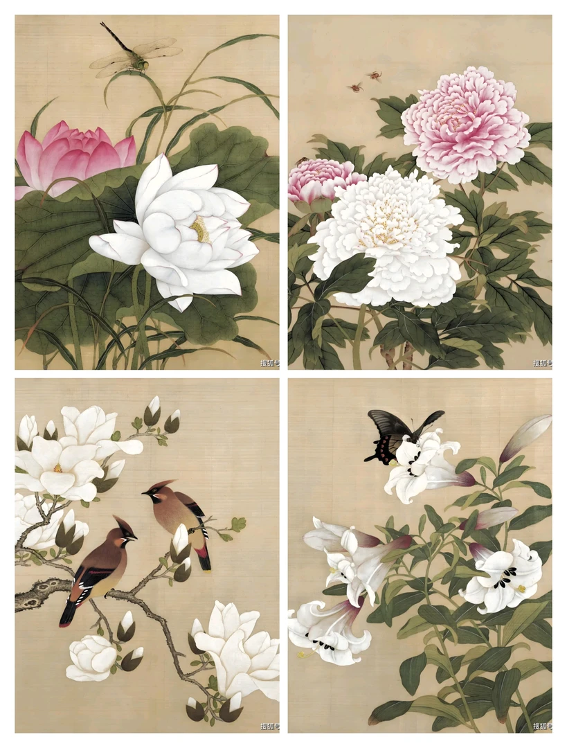 临清余稚四幅花鸟教学带底稿彩图视频和同大熟宣