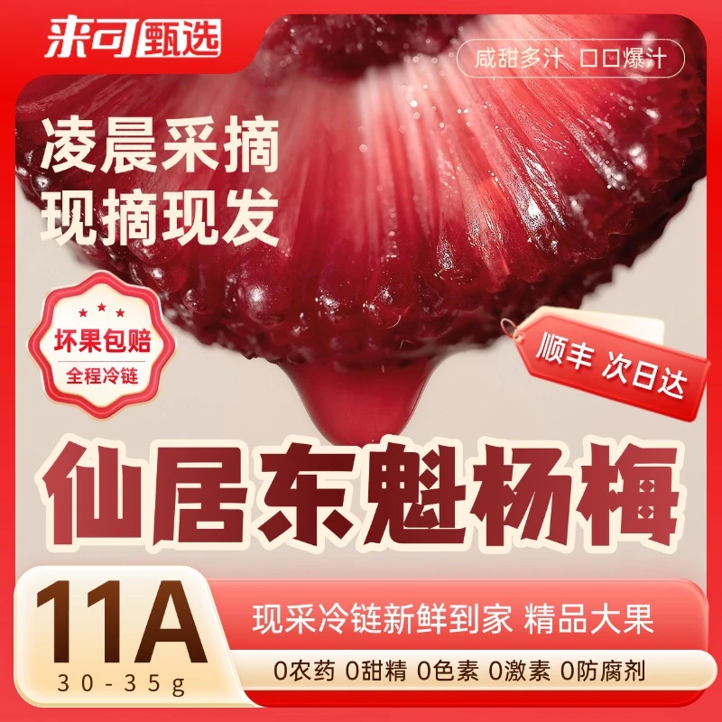 【正宗仙居东魁杨梅】【王中王巨果11A】新鲜直采颗颗精选顺丰冷链