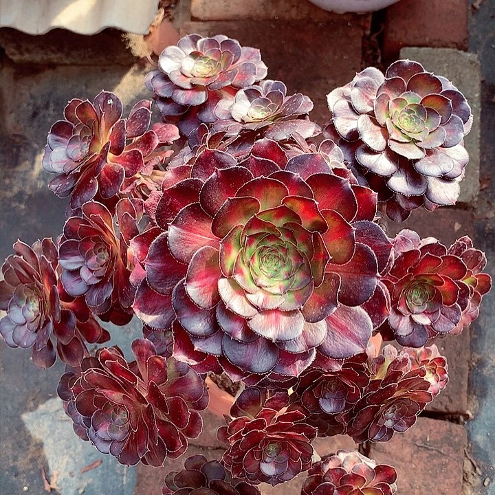 晚霞啊啊啊啊啊啊啊