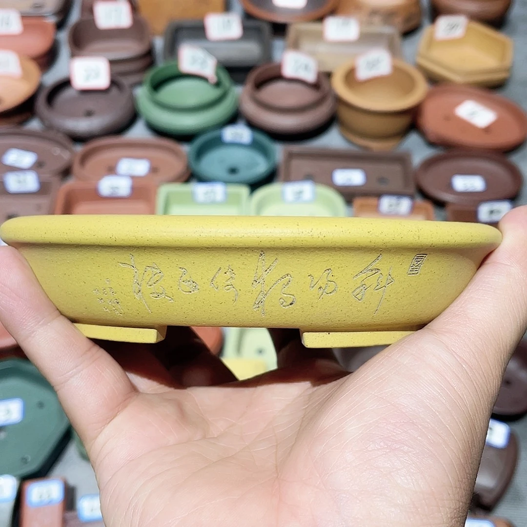 紫砂小盆12*10*2.5