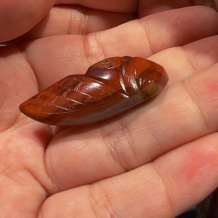 绍***盏勒子勒子勒子勒子