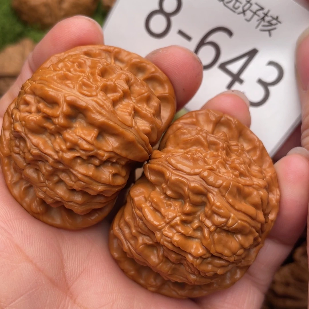 文玩核桃把件橘****白狮子45