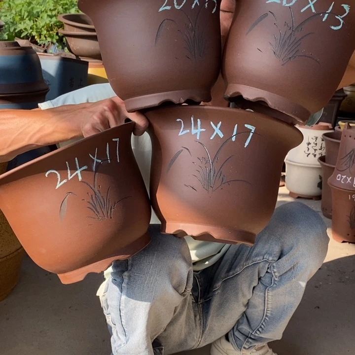 紫砂紫砂紫砂紫砂