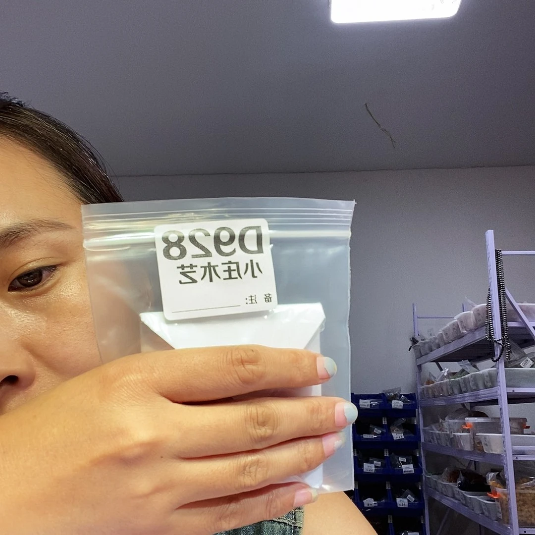【闪购商品】行**至黑檀木928