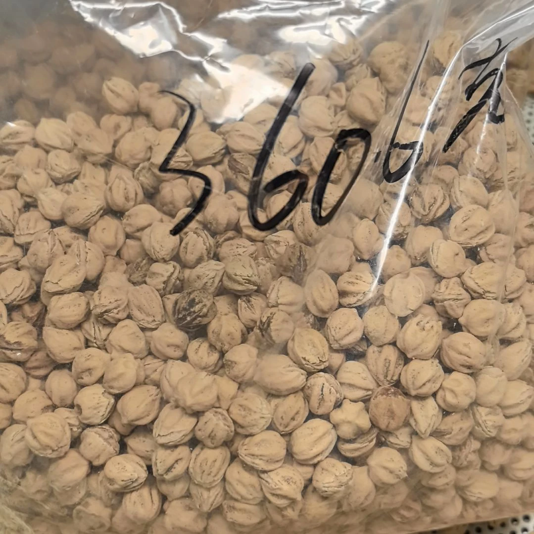 阿***）柏香籽/百香籽手串