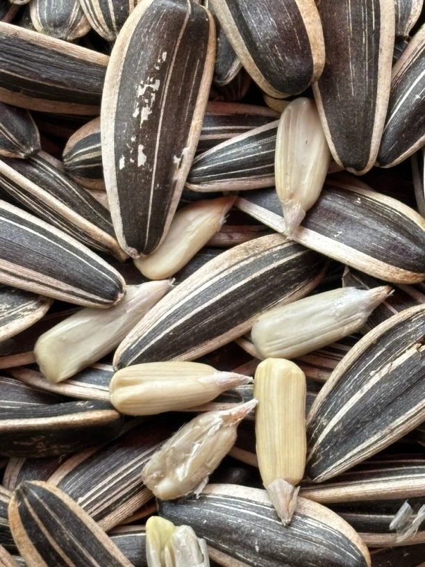 炒瓜子2024年新货手工炒货