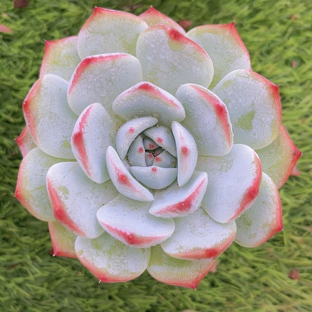 27号89万左右8898889999