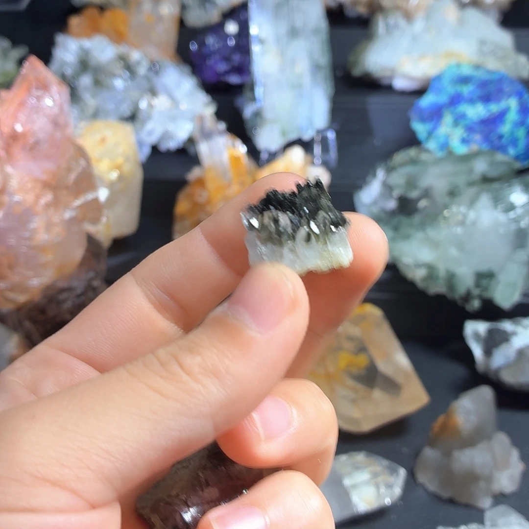 有机玻璃小型花园