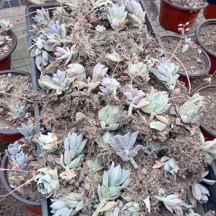 一箱子乱的很、包邮