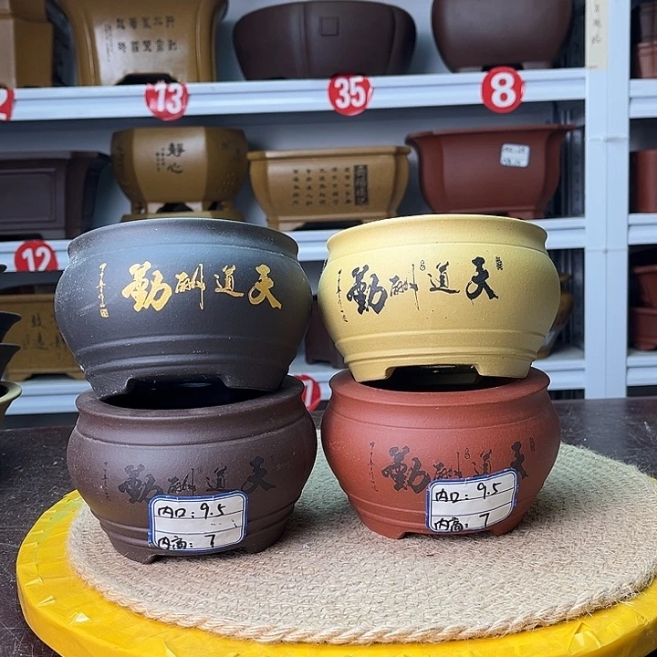 紫砂花盆你在一起