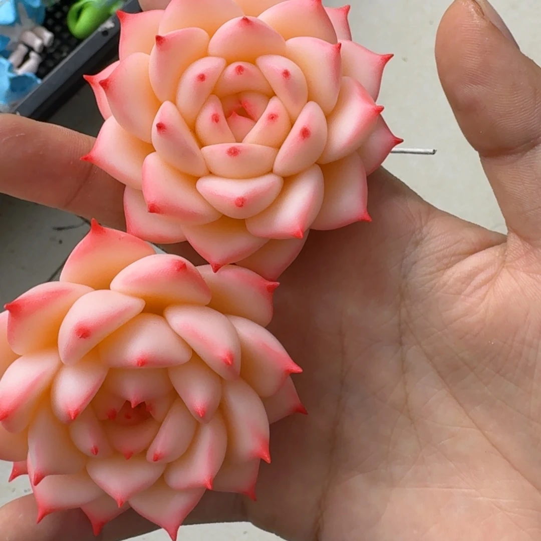 树脂制品16噢噢噢哦哦