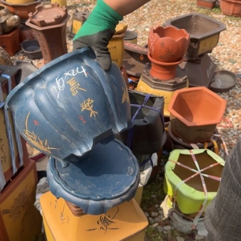 紫砂花盆紫砂花盆盆景盆栽