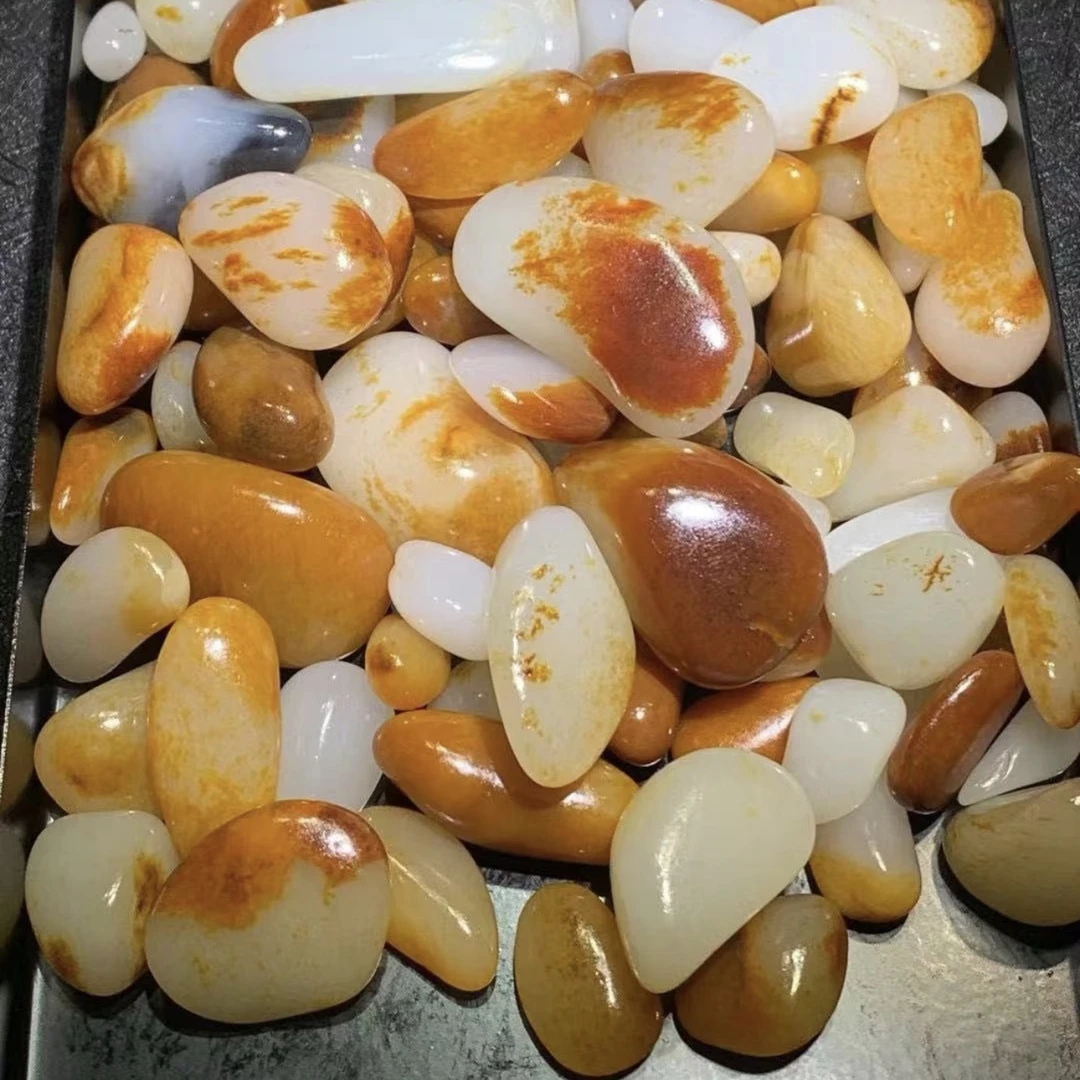 玉石籽红皮白肉多样性发货随机一件