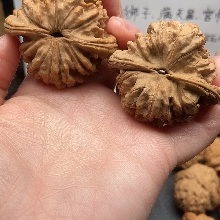 陈***晨大大大大大大大大官帽