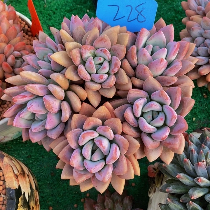 这么多年你一直没有