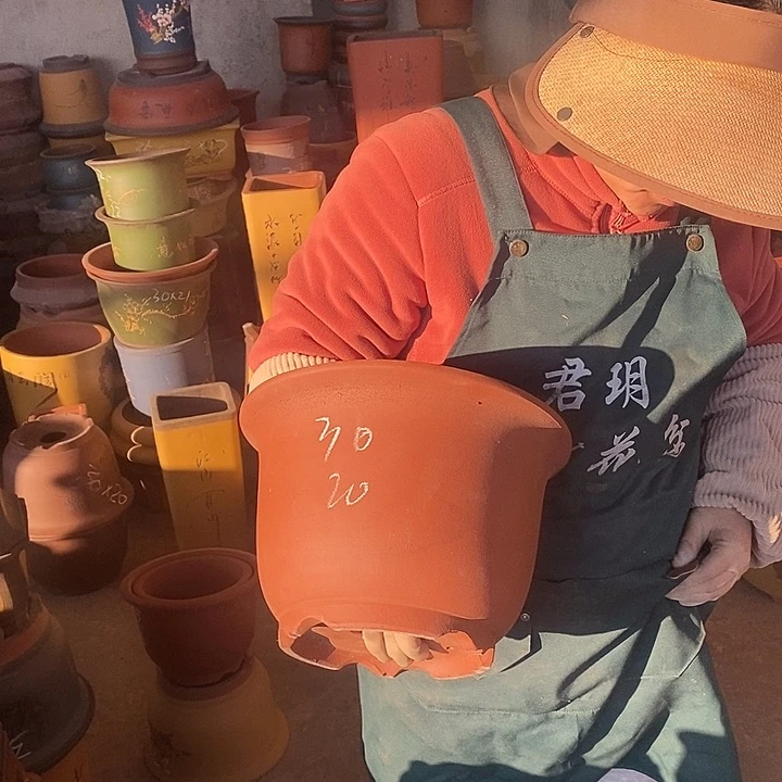 紫砂花盆盆栽花卉苗木种植