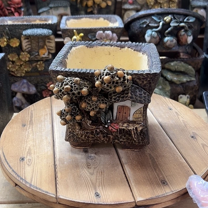 青藤多肉花盆百搭