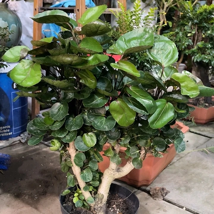 完全开放qqqqqqqqqqqqq