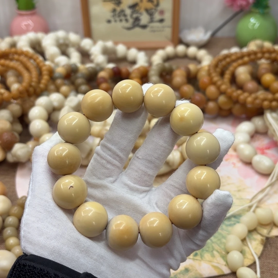 菩提根/象牙果吊坠20干磨瑕疵牙果圆珠386