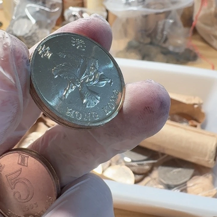 其他普通金属93年紫荆花5元币