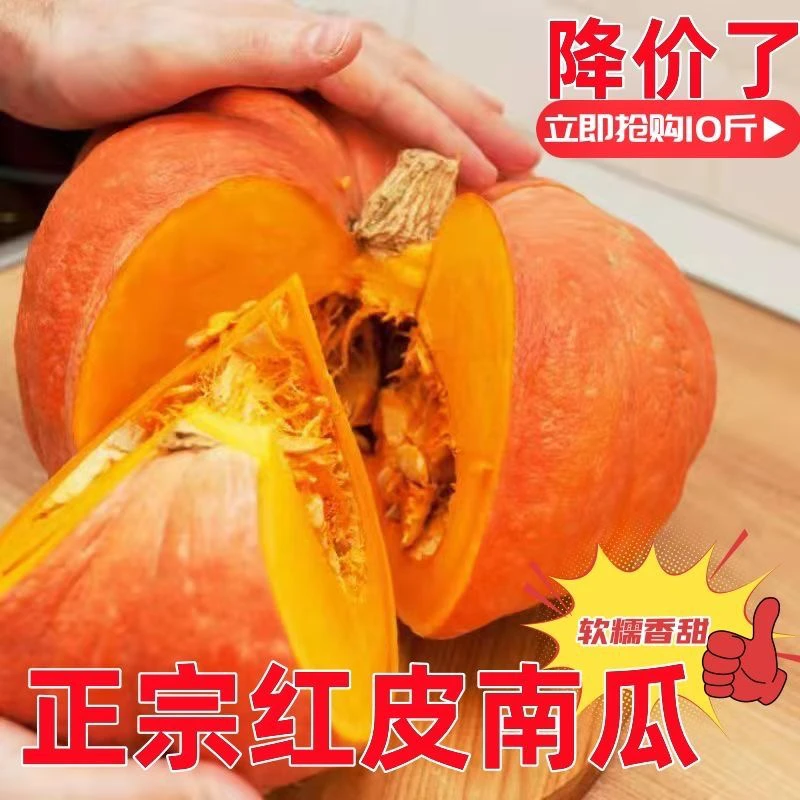 红皮南瓜苗，新疆焉耆大棚直发吃货界