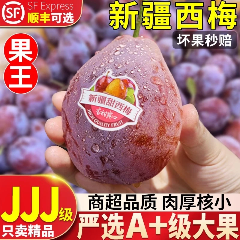 【专注品质】】正宗新疆西梅喀什法兰西西梅甜当季整箱新鲜水果伽师