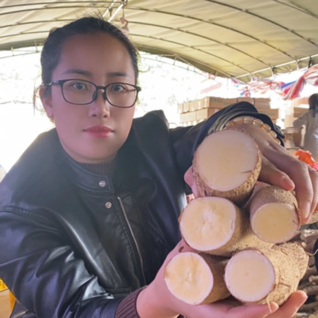 正宗黄心鸡蛋木薯新鲜现挖糖水店同款薯香浓郁粉糯好吃