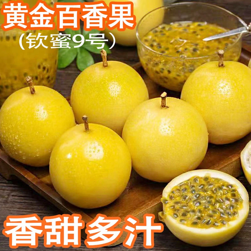 正宗广西钦蜜9号黄金百香果当季新鲜采摘水果整箱钦蜜九号