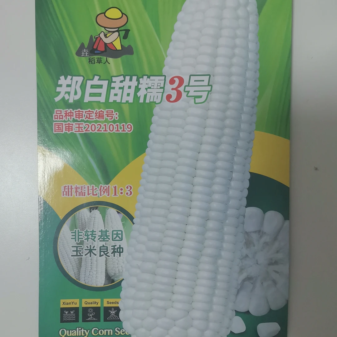新店福利价，白甜糯玉米种子（出快递费送玉米种子）
