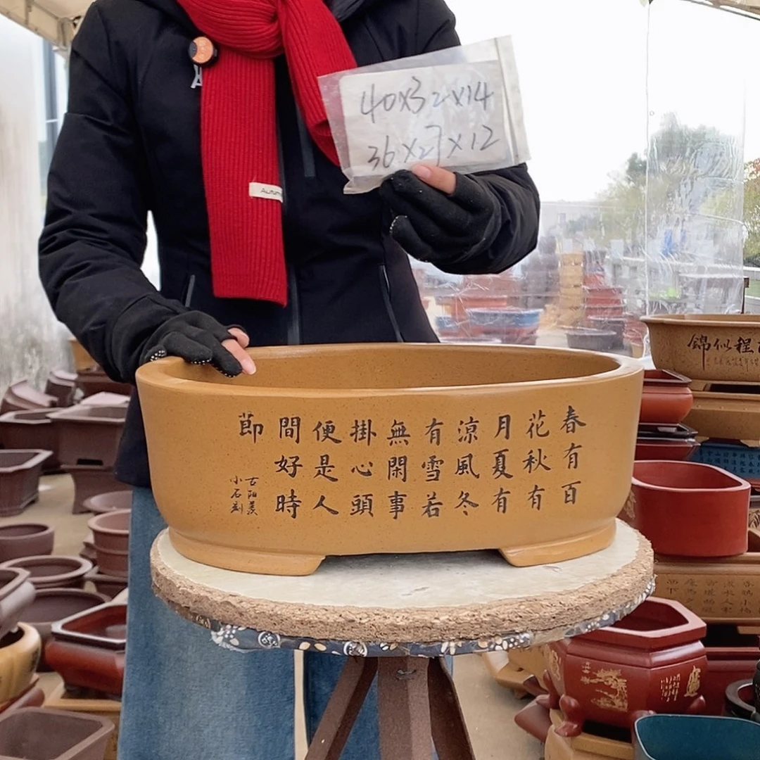 紫砂花盆紫砂花盆