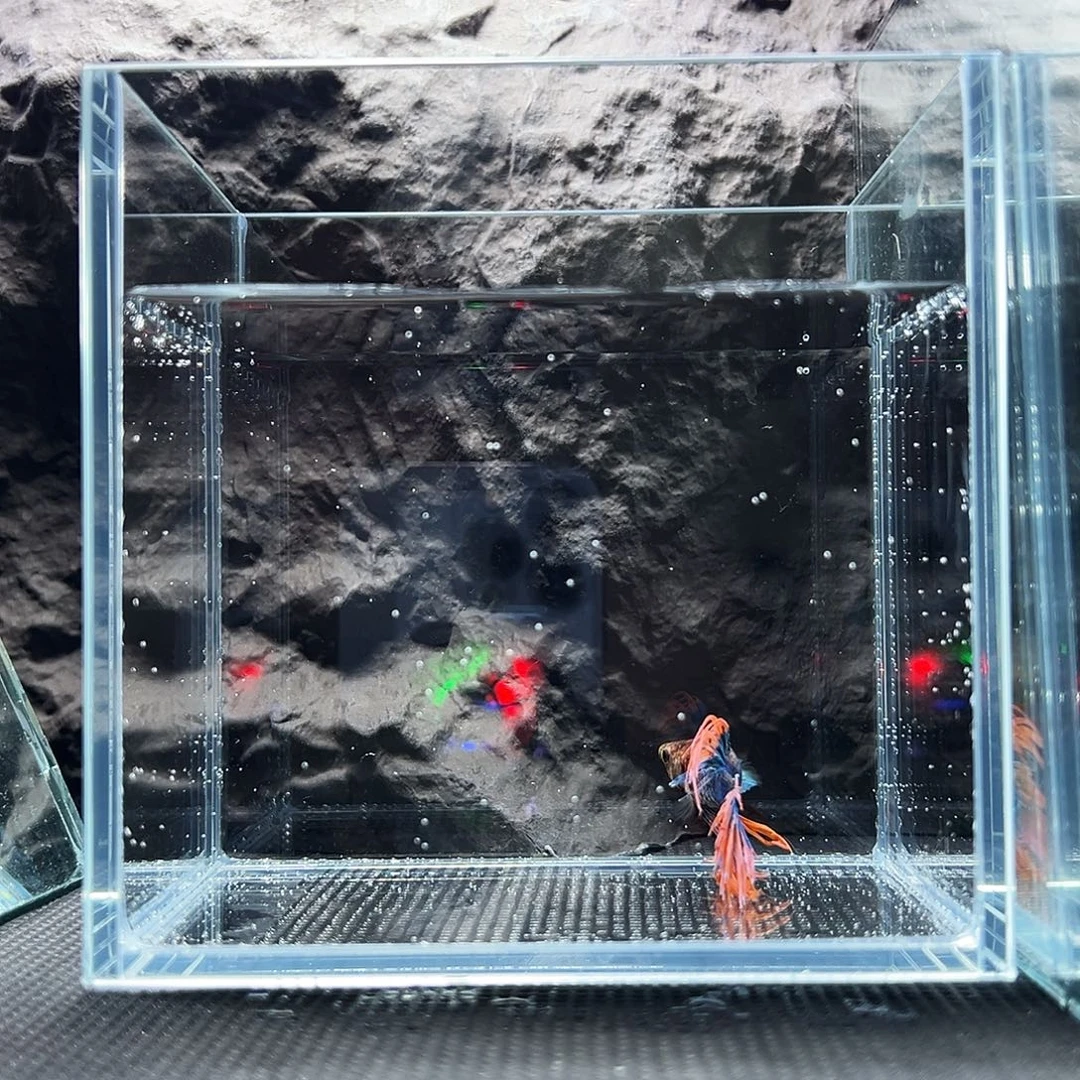 斗鱼精品精品精品精品精品