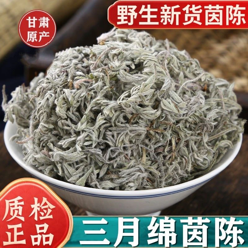 正宗野生茵陈干货甘肃秦岭高海拔精选茵陈白蒿三月绵茵陈