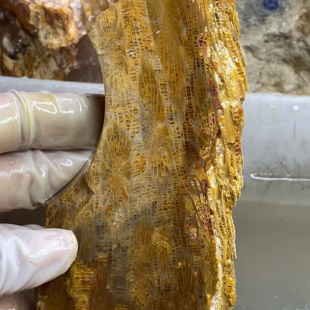【闪购商品】硅化玉颈饰未镶嵌