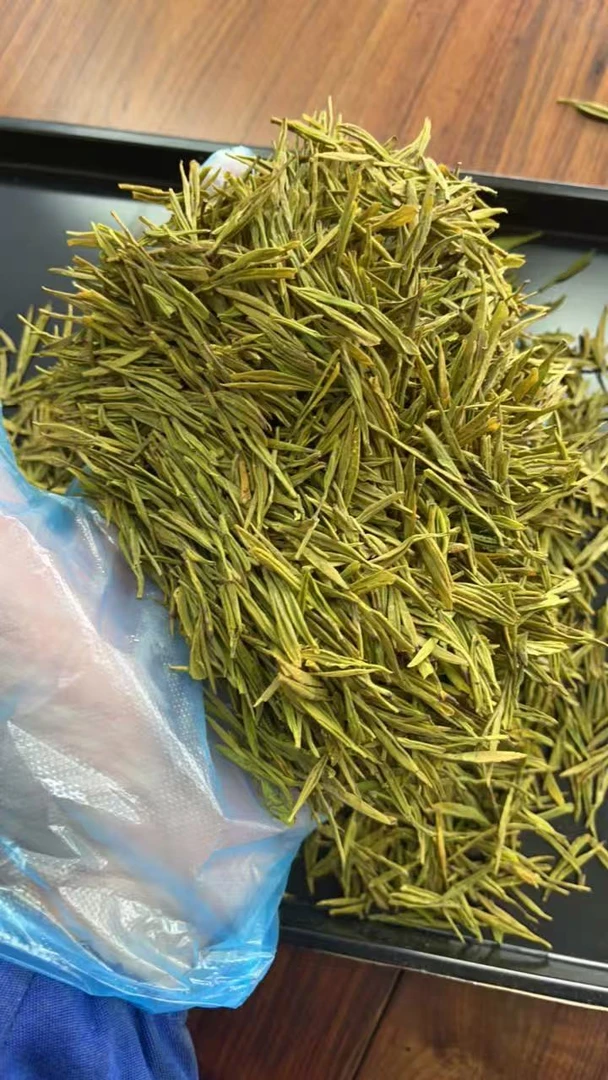 上茗天目湖黄金芽 溧阳春茶黄金茶 2025新茶 袋装送礼 250g/500g