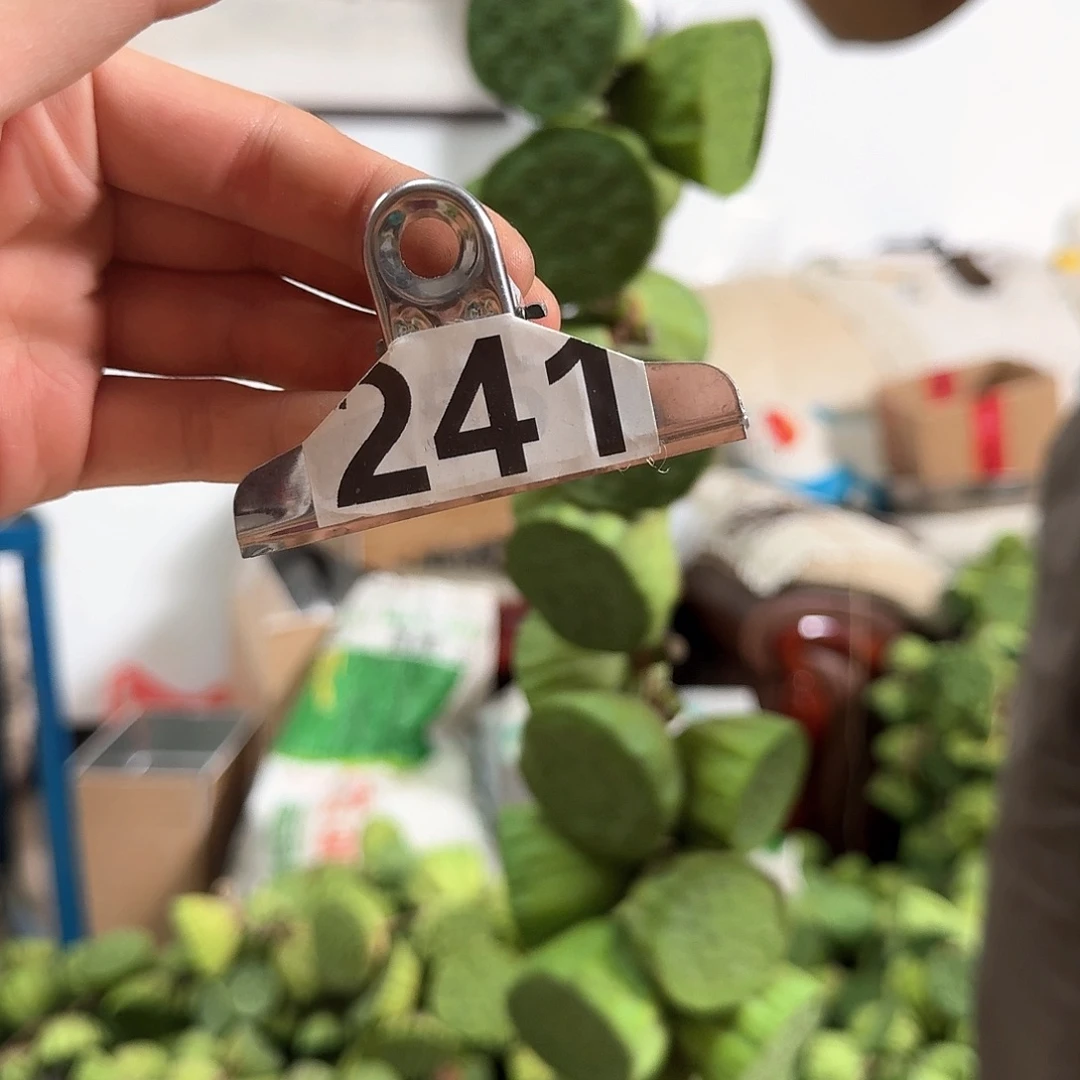 微***笑鲜莲蓬大的22个小的26个