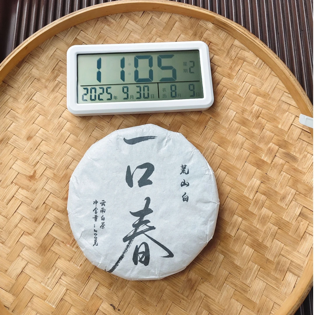 【1603号】2025年邦改荒山白 一口春白茶 春 紧压茶白茶 200克9月30
