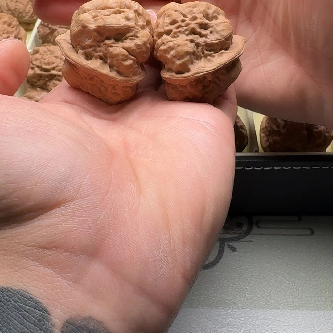大叶紫檀（黑酸枝木类）