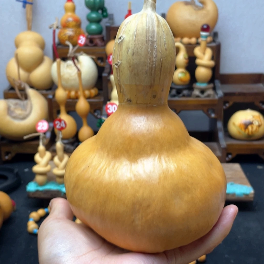 厉**呦大自然的秘密第十一节的