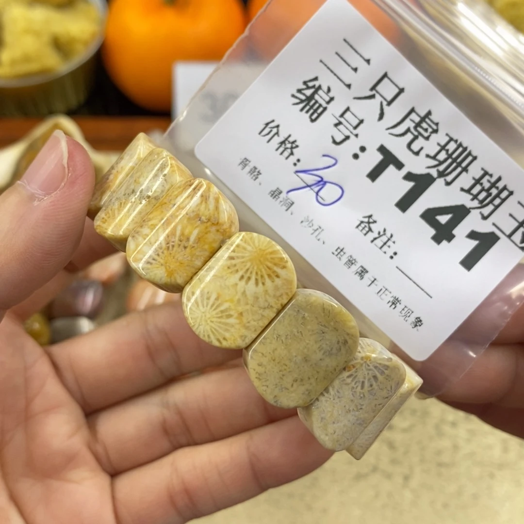 硅化珊瑚（珊瑚玉）1未镶嵌?****