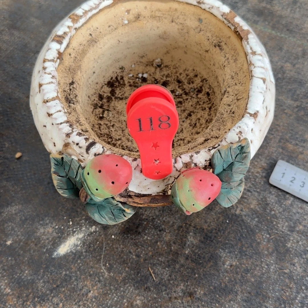 简***活118。         花盆一个瑕