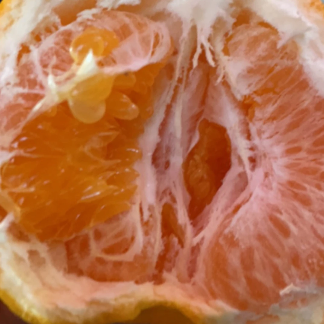 耙耙柑中小果纯甜五斤送两斤（口感九甜一酸）