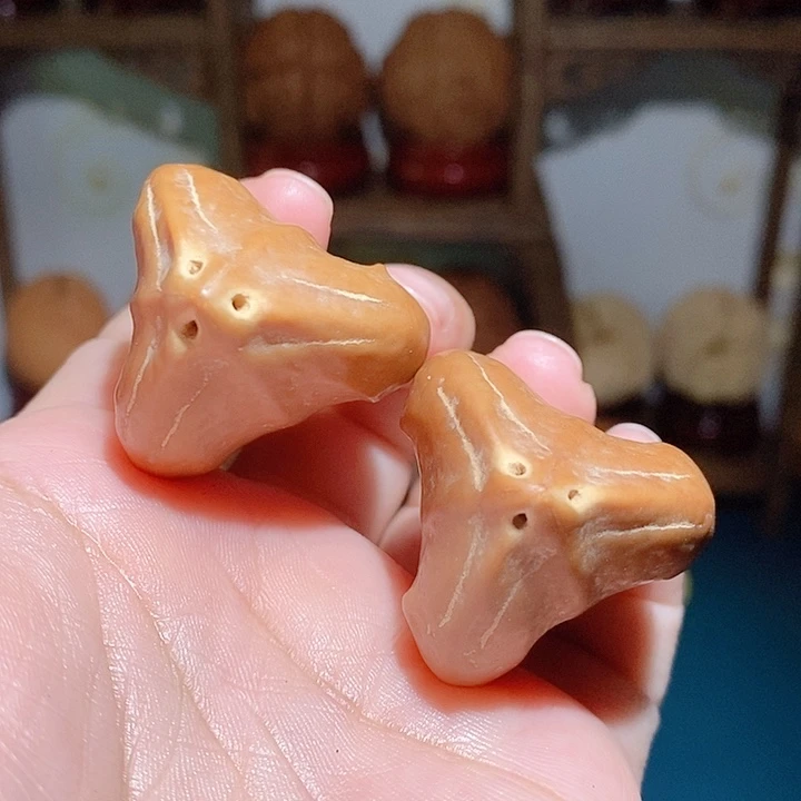 野生三花大橄榄核