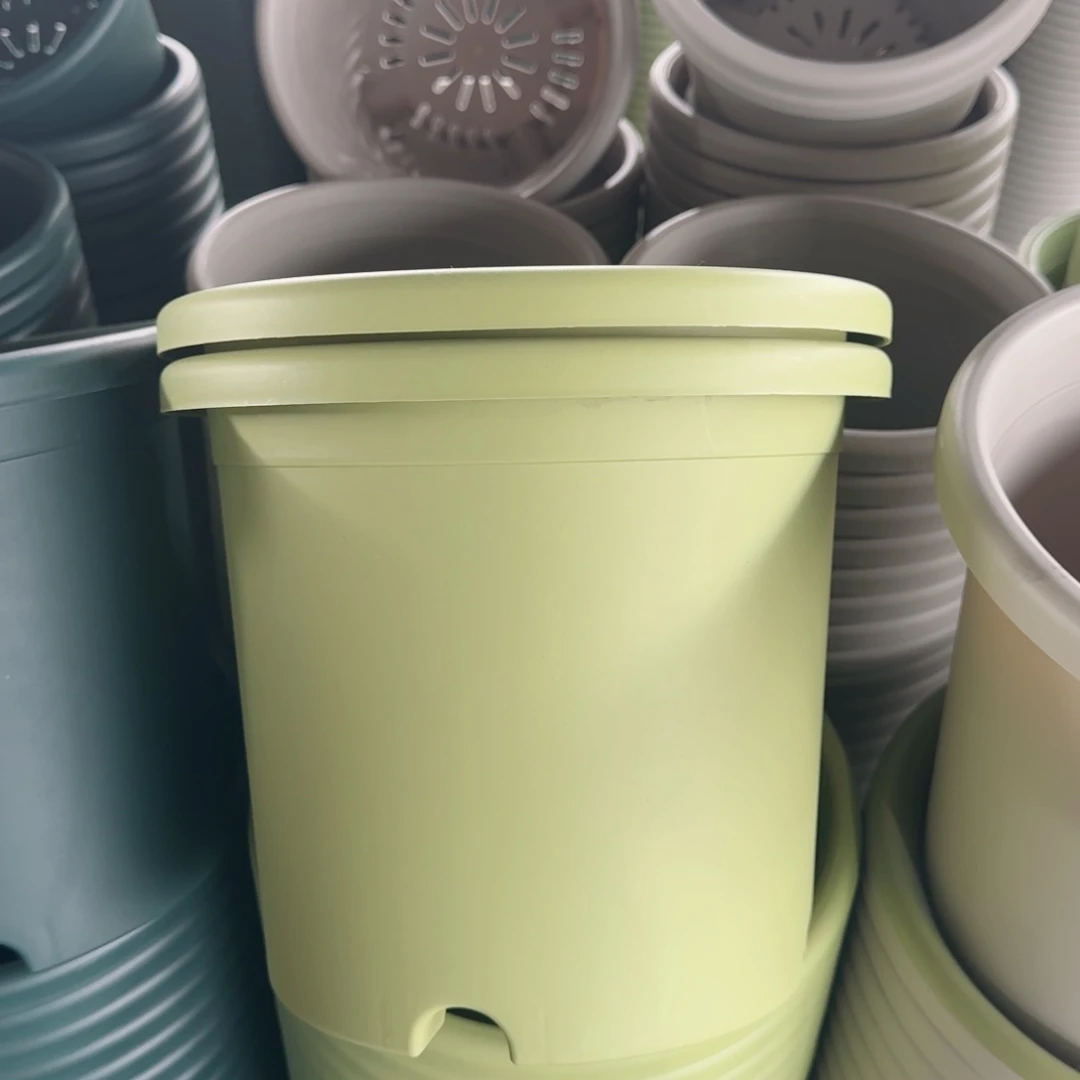 塑料四季4号4个果绿带拖