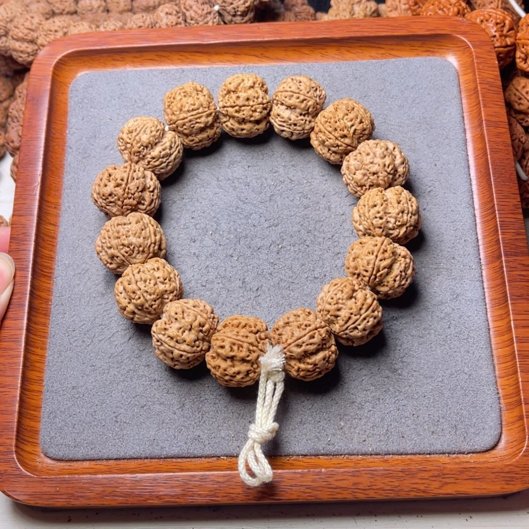 菩提26号金刚菩提梁梅花24