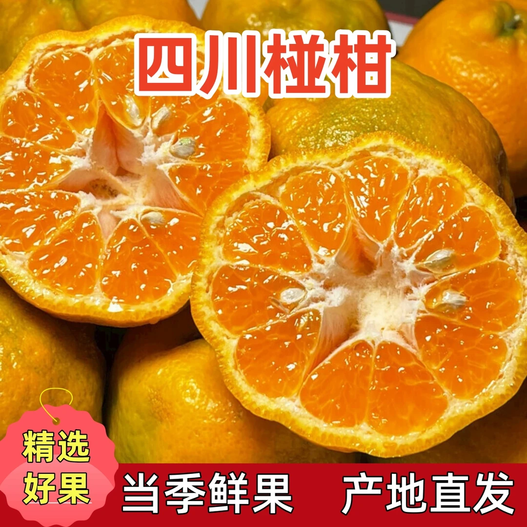 【香甜多汁】四川椪柑新鲜应季当季水果产地直发