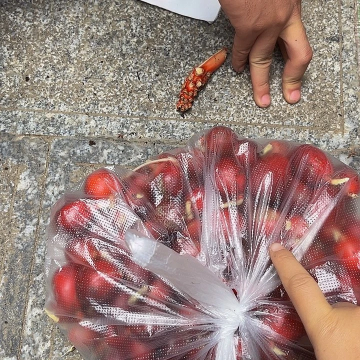 绵***羊中国大陆草果鲜果3斤