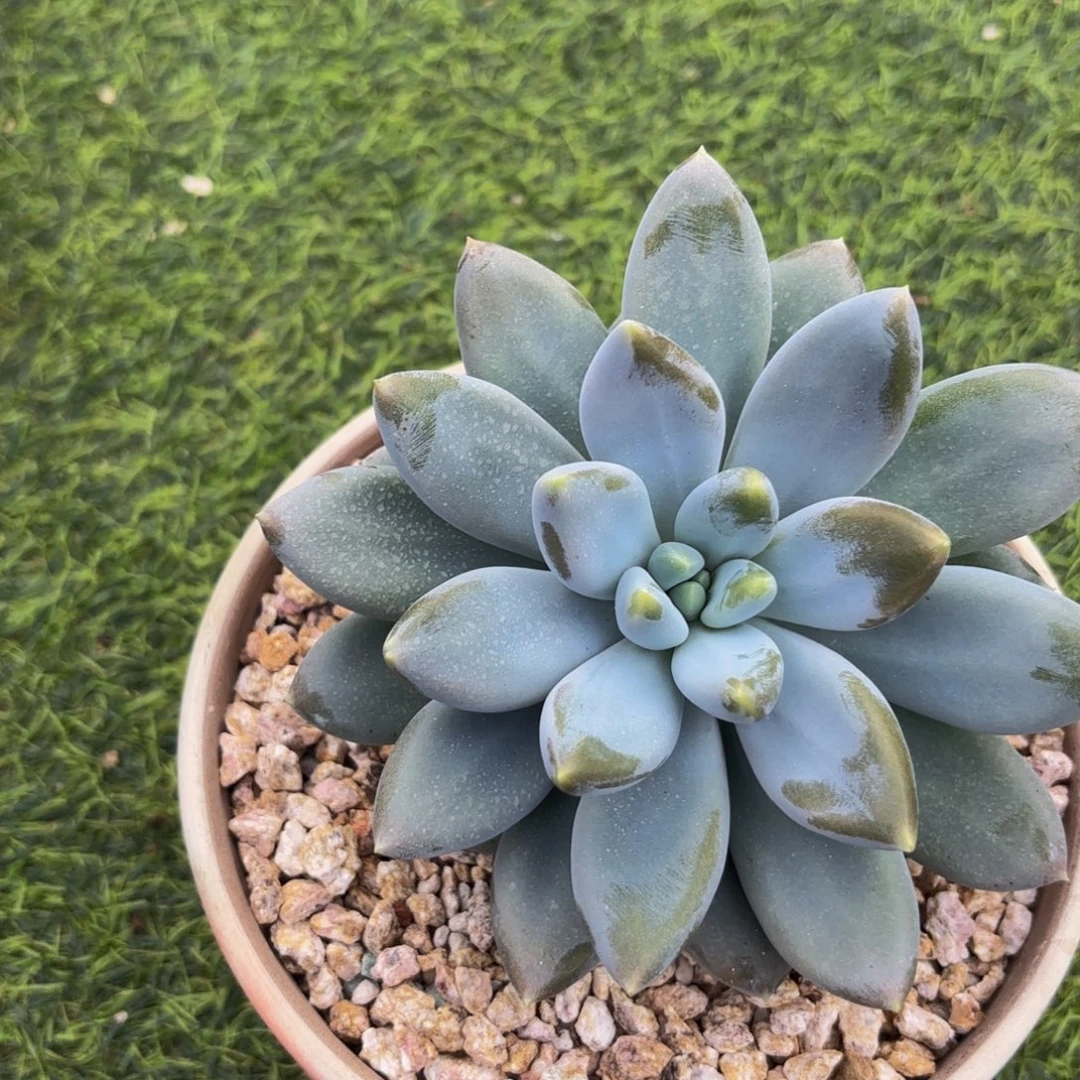 用***5Gvjjjjjjjjjhjbnnknnbvvcghkkkj