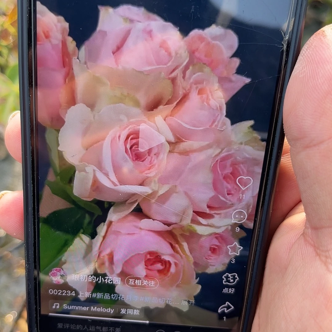 无花朵———002234